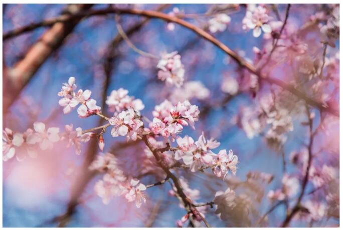 1661910491190421.jpg 1661910491190421.jpg