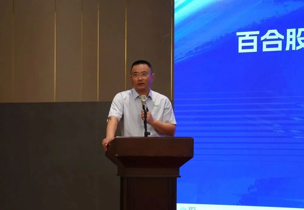 1689320869411780.jpg 640 (9).jpg